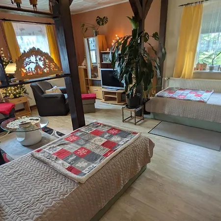 Apartamento Reinhardt Steinhuebel *